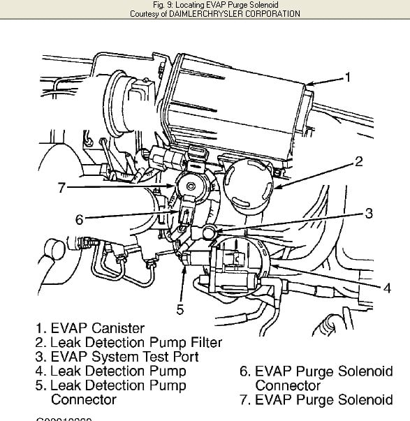 2002 Jeep Wrangler Evap System Diagram