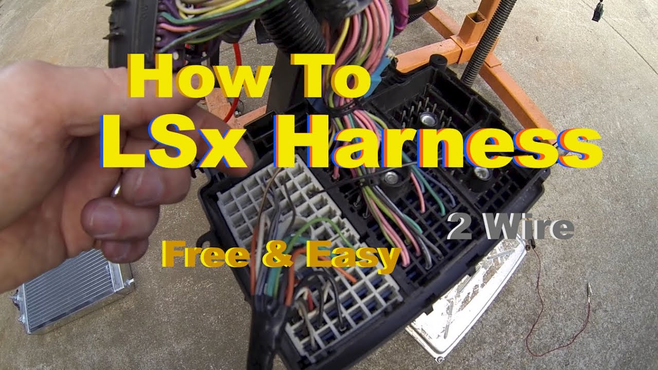 Wiring Diagrams hogtunes wiring diagram 