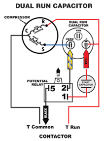 1ph run pacitor wiring diagram 1ph run pacitor wiring diagram