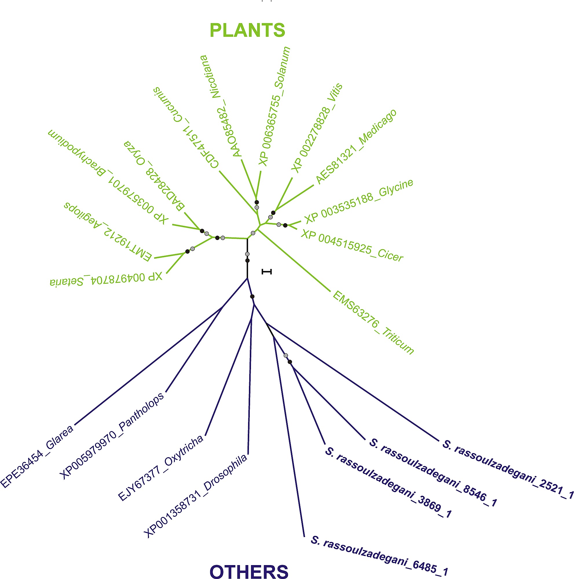autotrophs vs heterotrophs venn diagram autotrophs vs heterotrophs venn diagram