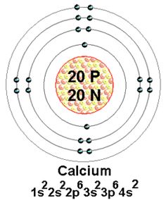 bohr diagram of calcium bohr diagram of calcium