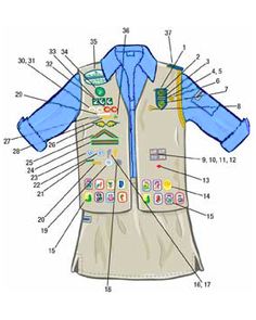 cadette sash diagram cadette sash diagram
