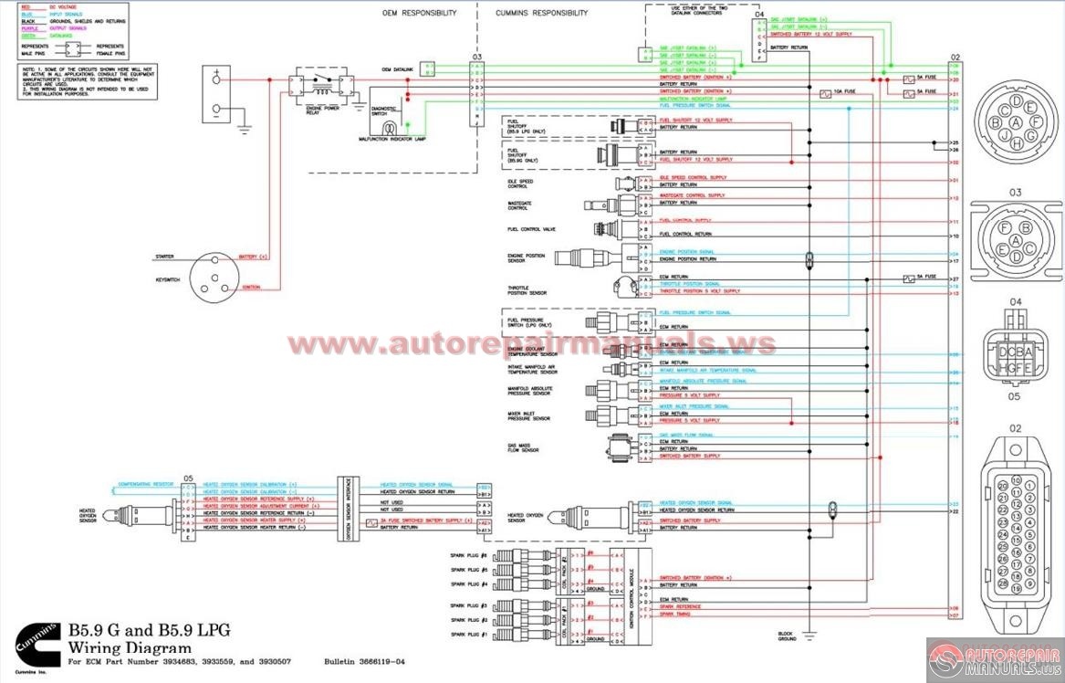 m11 ecm wiring diagram