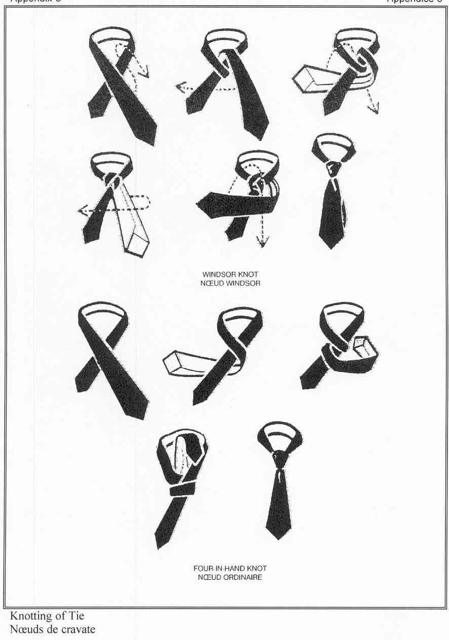 Double Windsor Tie Knot Diagram