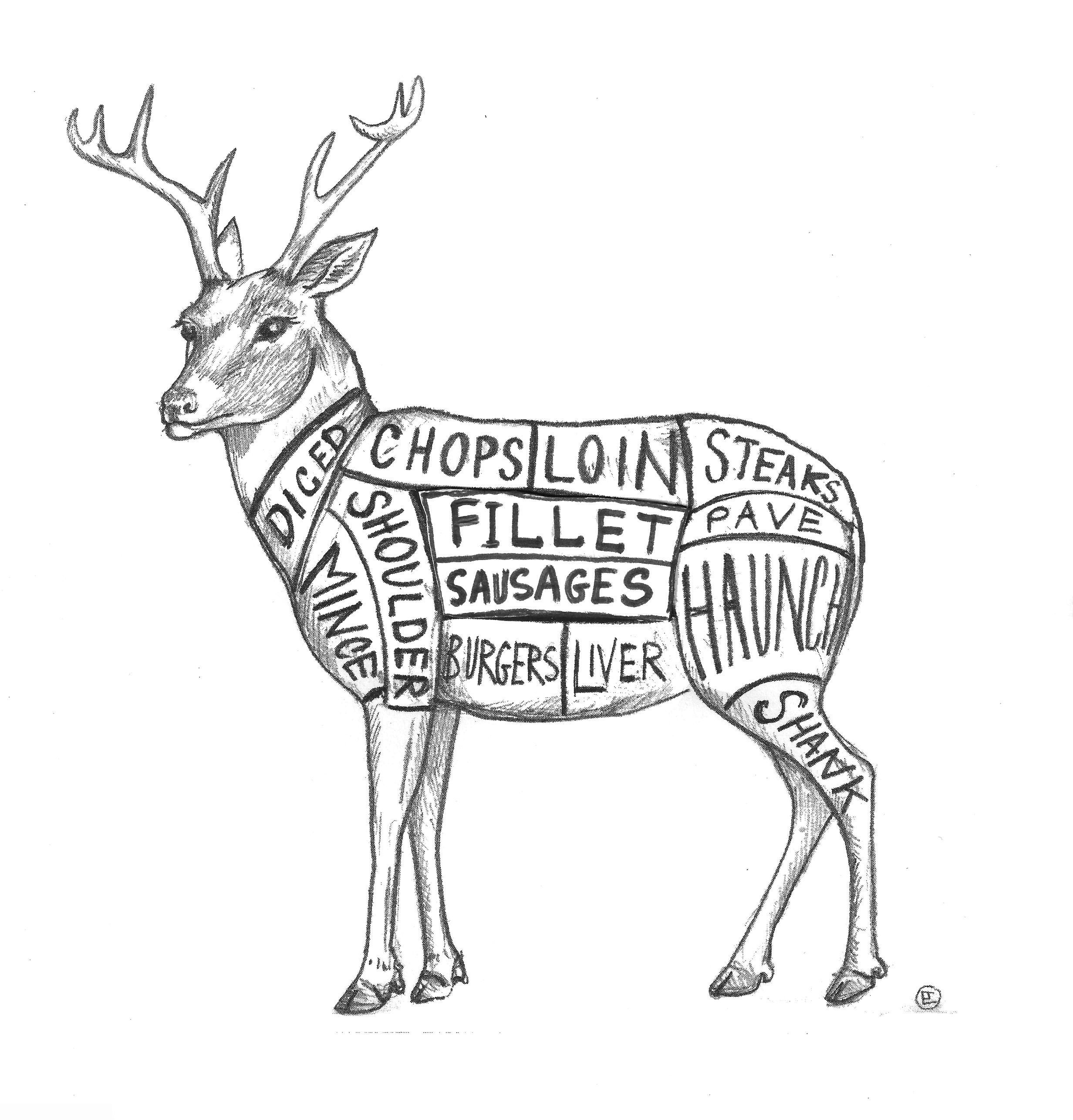 elk butcher diagram