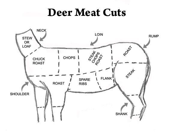 elk butcher diagram