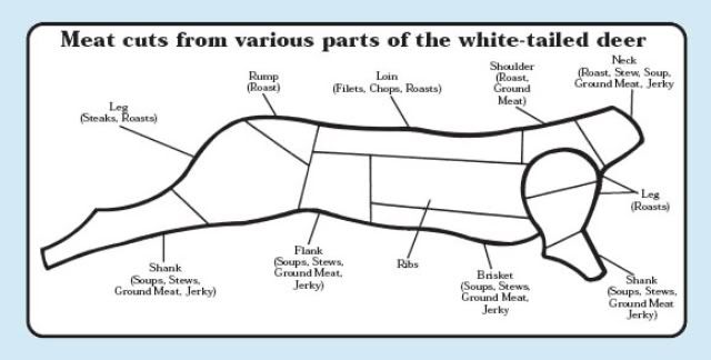 elk butcher diagram