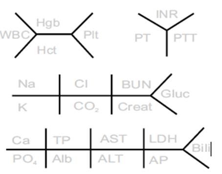 fishbone lab diagram template