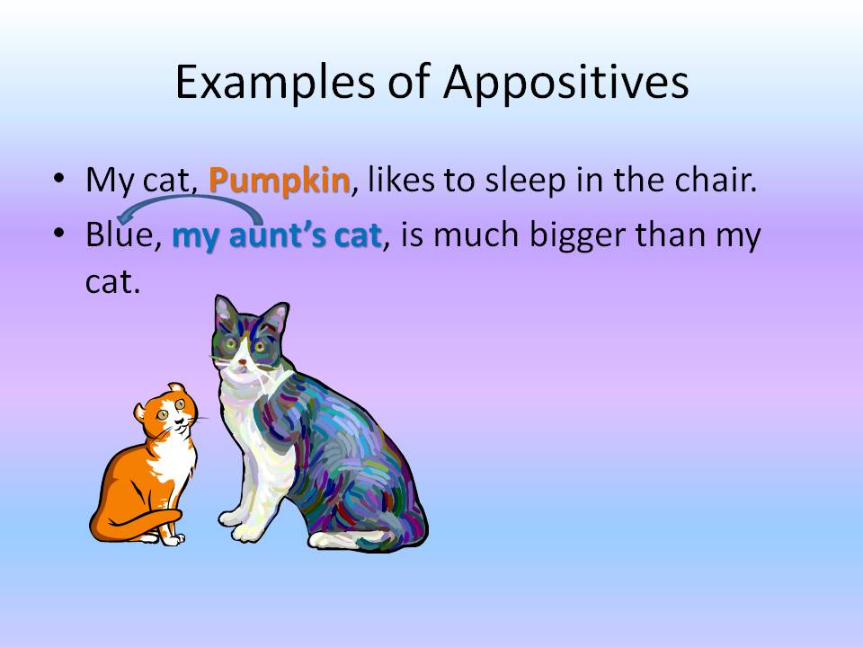 how to diagram an appositive