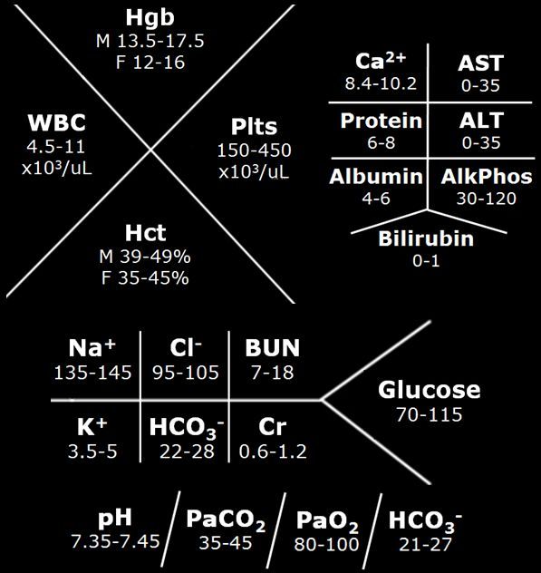 lab fishbone diagram template