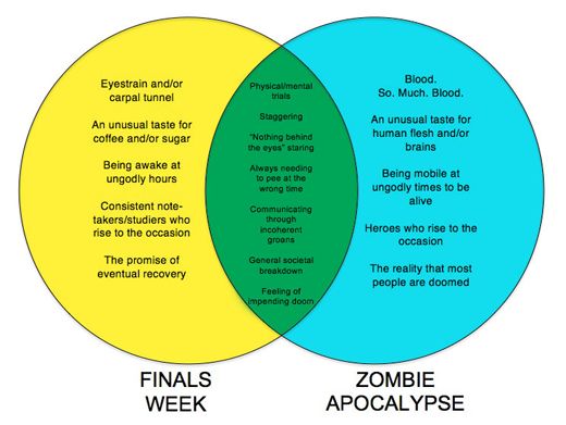Mockingbird Differences Between Book And Movie Venn Diagram