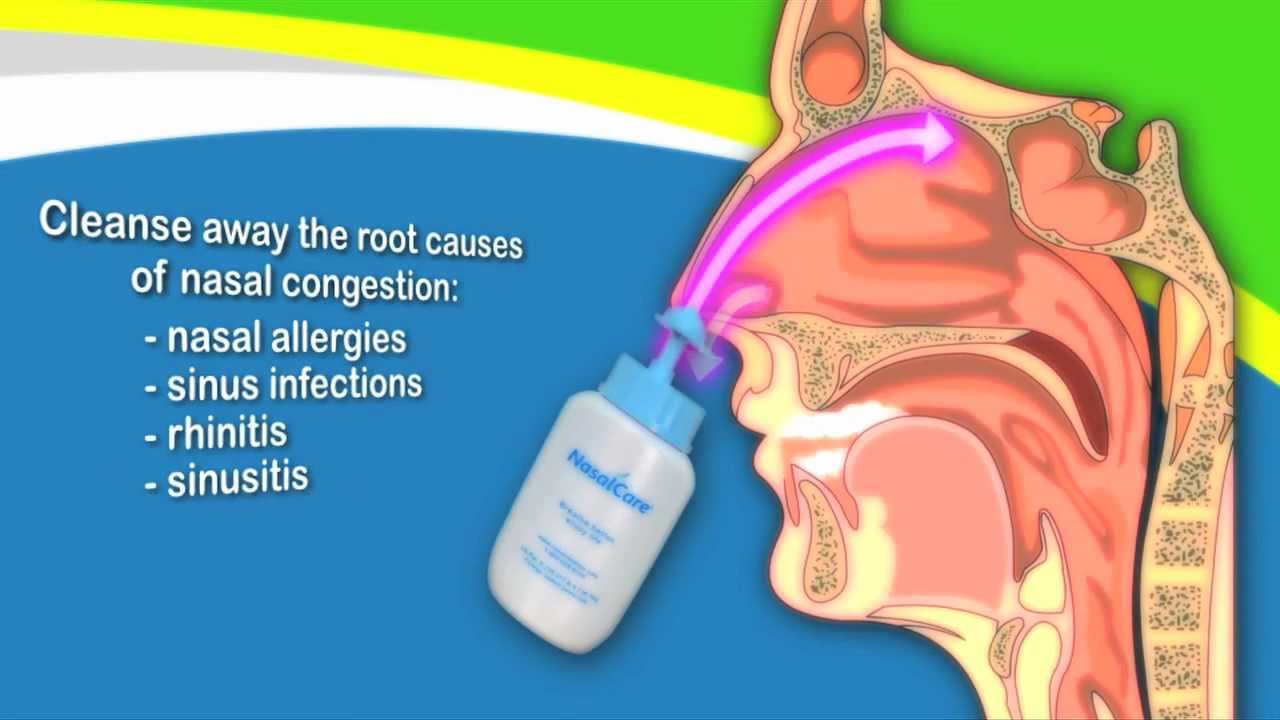 neti pot diagram neti pot diagram