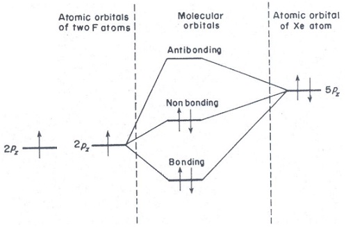 orbital diagram for xenon