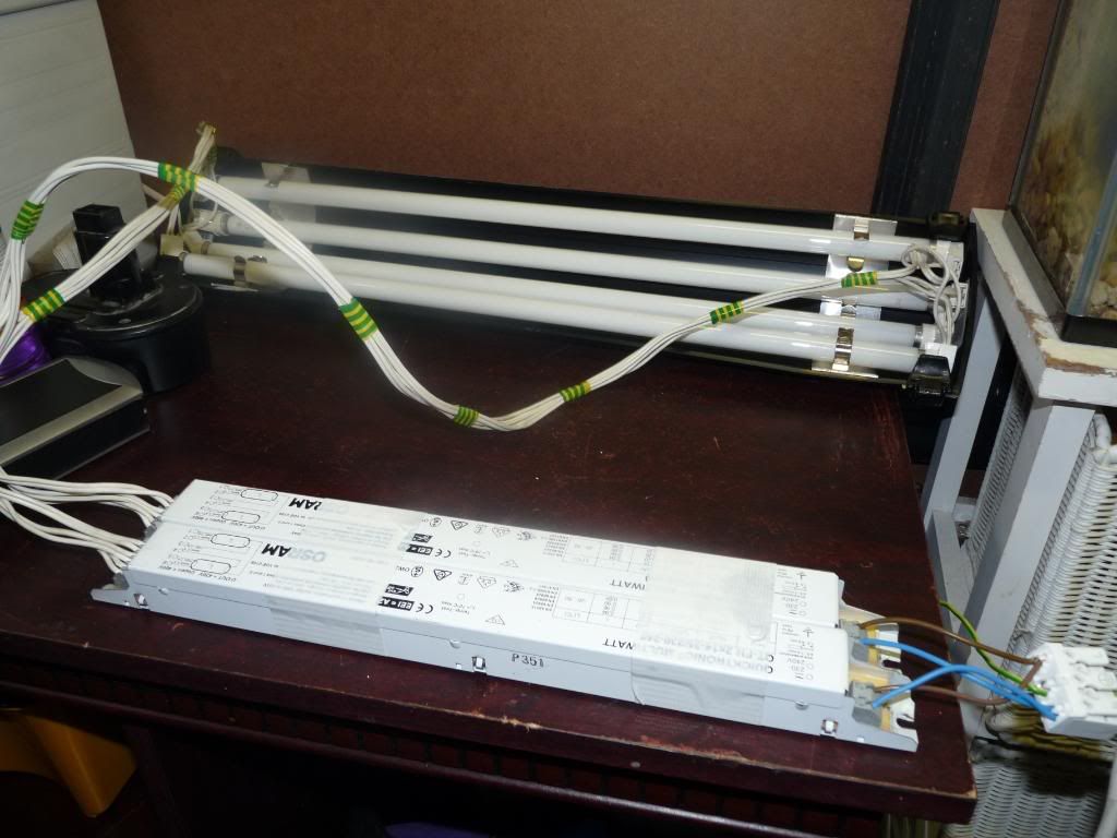 Ottlite 24w Floor Lamp Ballast Wiring Diagram