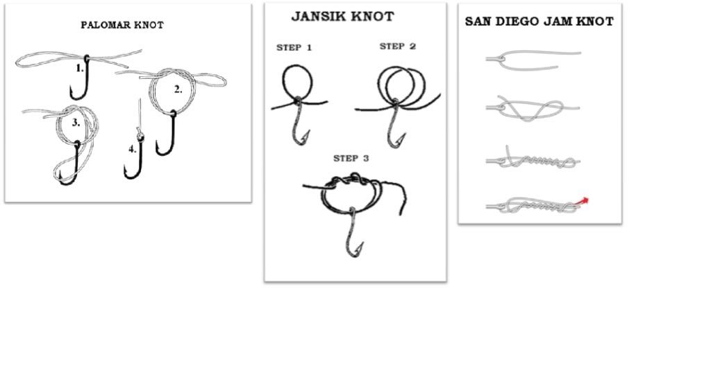 palomar knot diagram