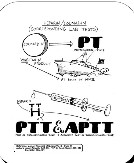 Pt Ptt Inr Diagram