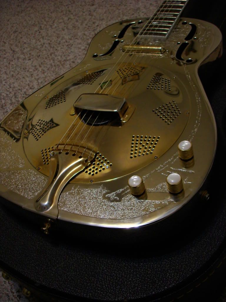 Resonator Guitar Diagram