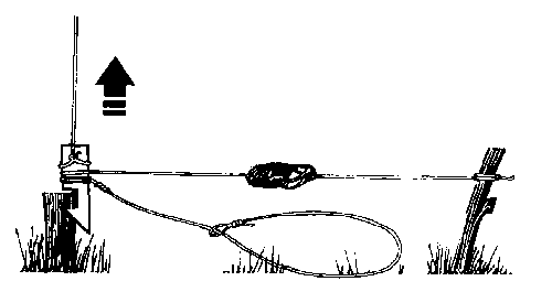 spring snare trap diagram