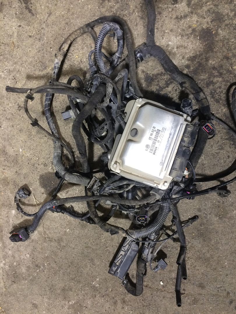 Tdi Swap Wiring Harness