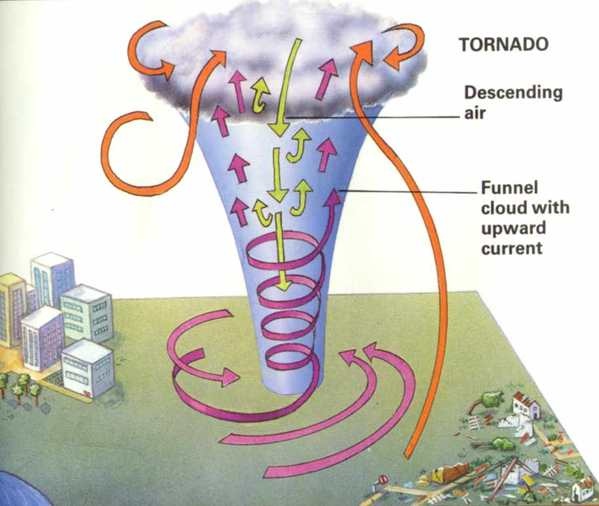 tornado diagram pmp