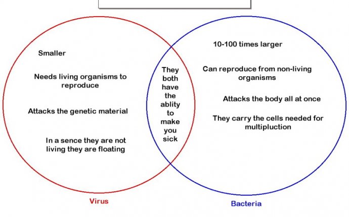 venn diagram bacteria and virus