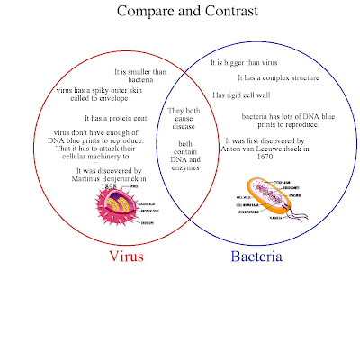venn diagram bacteria and virus
