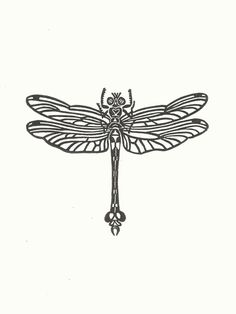 Wowwee Dragonfly Wiring Diagram