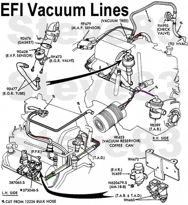 Step 3: Understand the Firing Order
