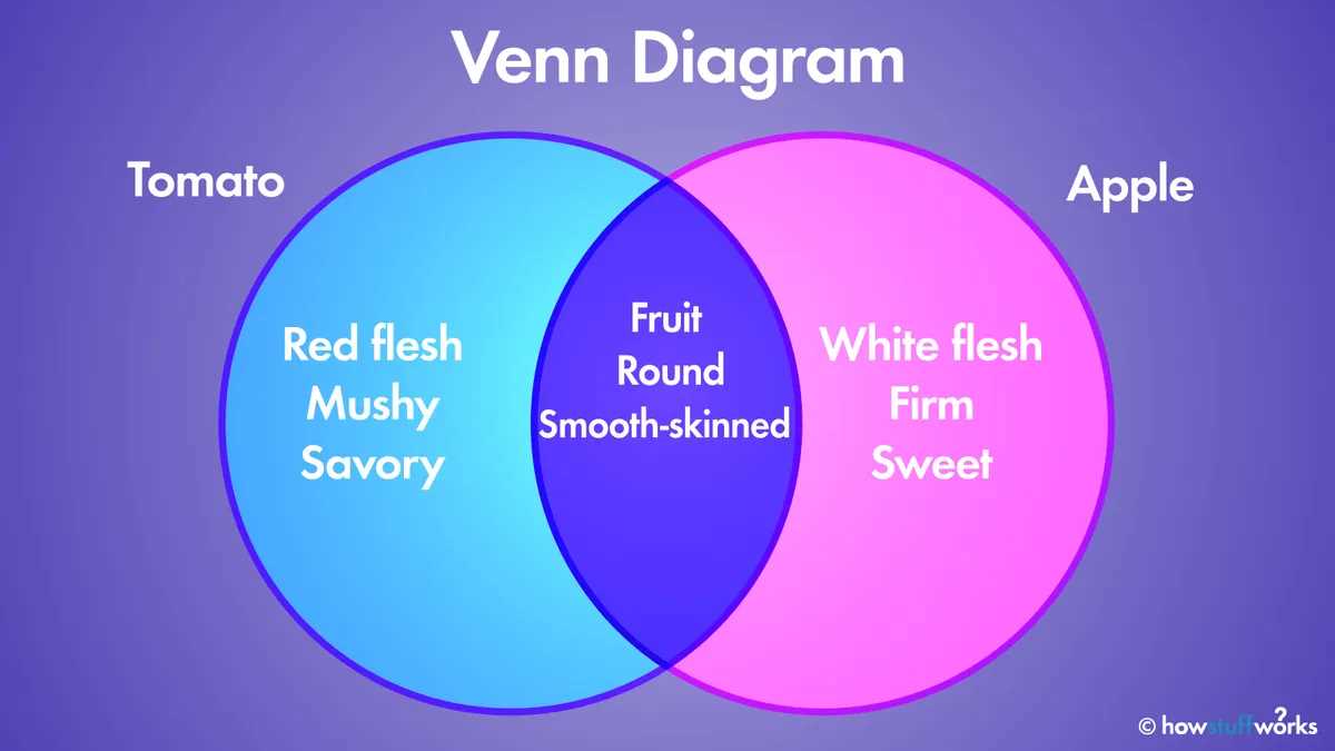 Venn Diagrams: A Visual Representation of Relationships