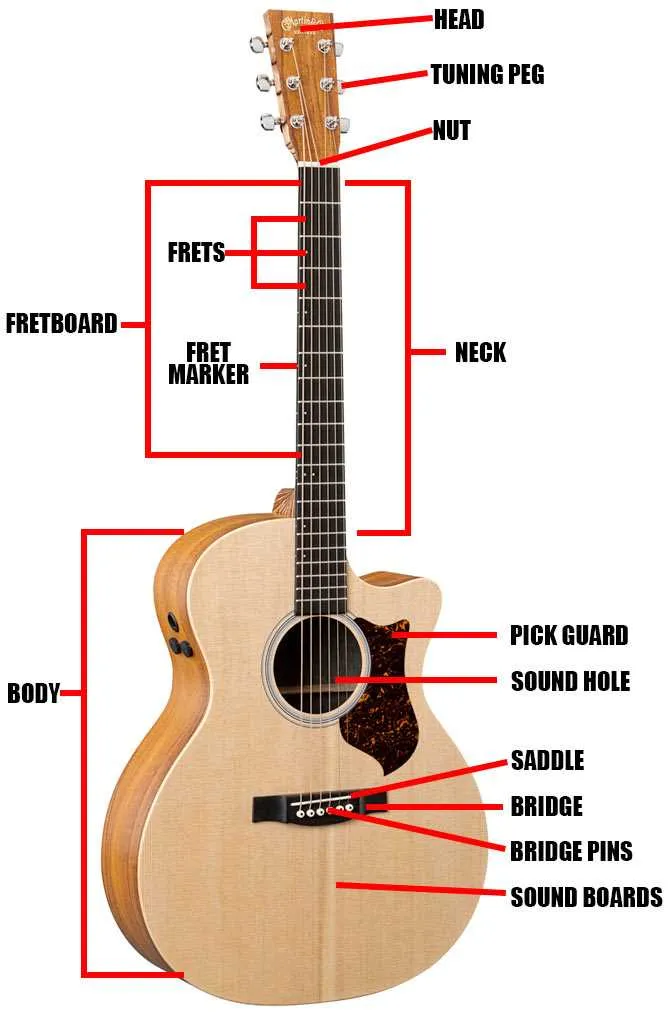 parts of the guitar diagram