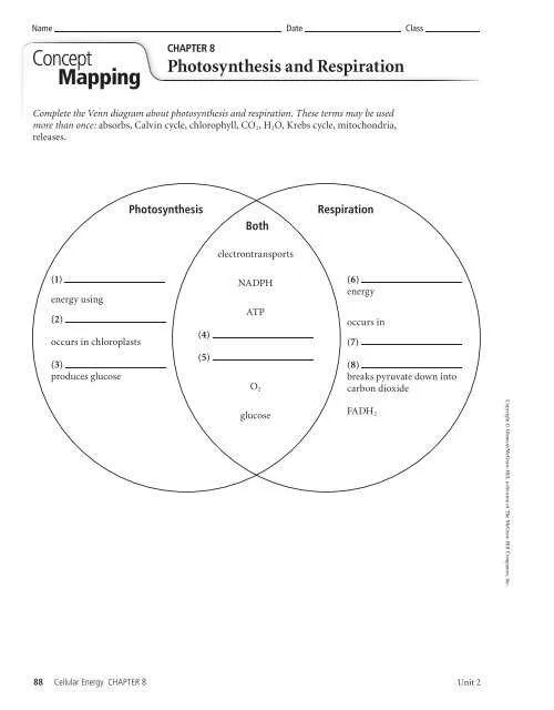 venn diagram photosynthesis and cellular respiration venn diagram photosynthesis and cellular respiration