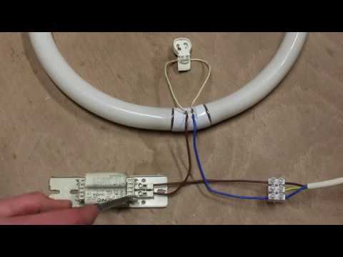 A Complete Guide on Circular Fluorescent Lamp Wiring Diagram