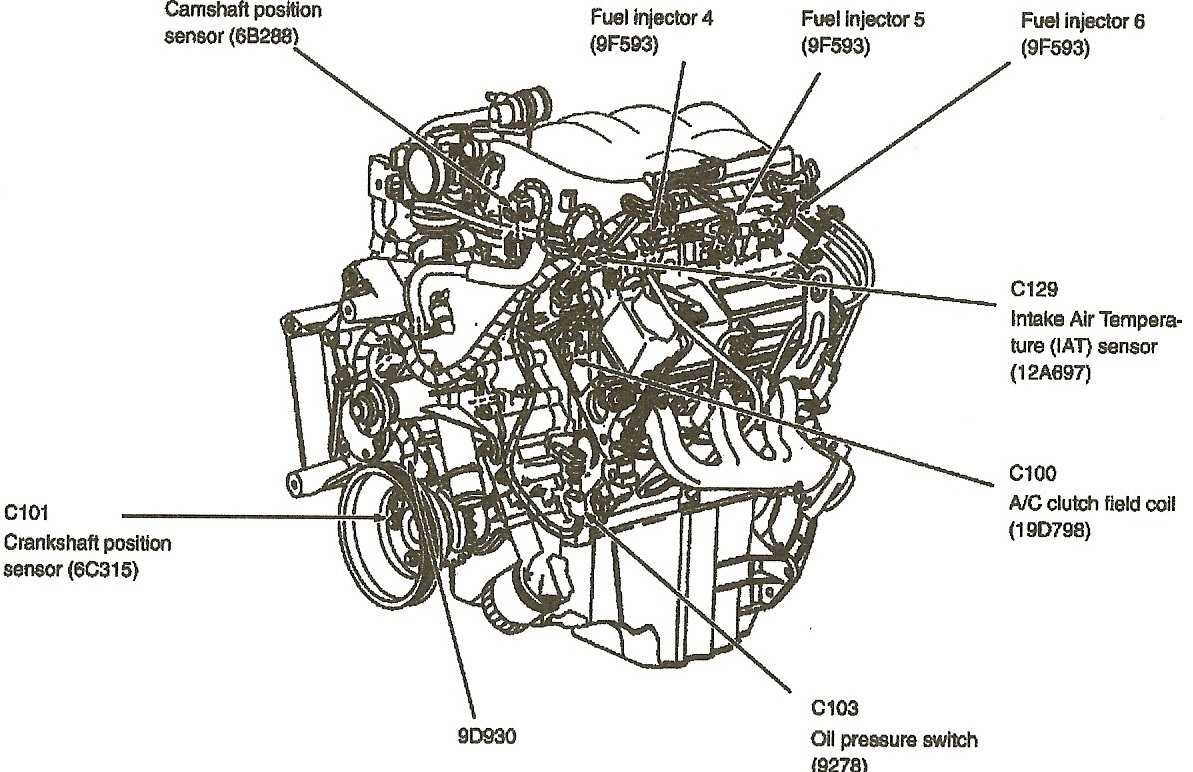 Engine Block and Cylinder Head