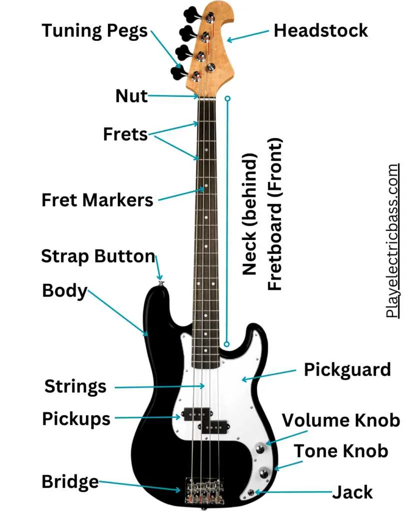 parts of the guitar diagram