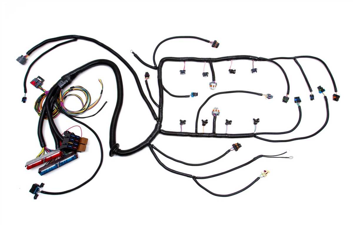 Ls1 stand alone wiring harness diagram