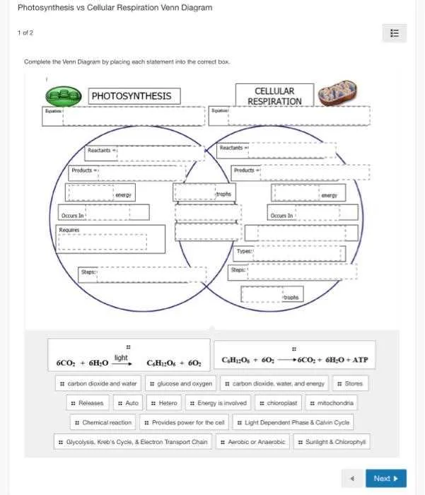 venn diagram photosynthesis and cellular respiration venn diagram photosynthesis and cellular respiration